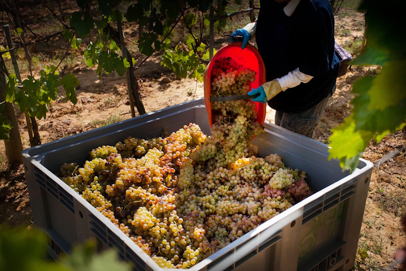 Toskana putovanje 2026